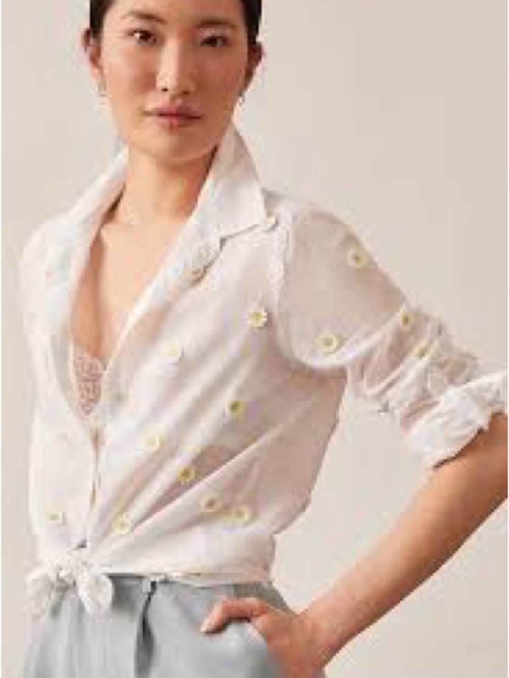 Anthropology Maeve classic button-down white floral sheer Xl